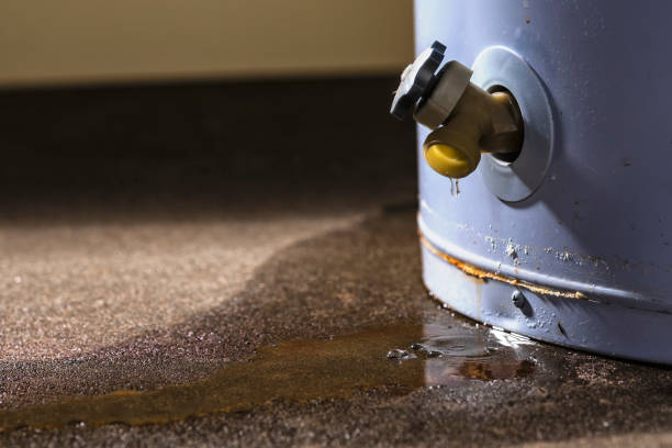 Best Water damage repair service  in Kenneth City, FL