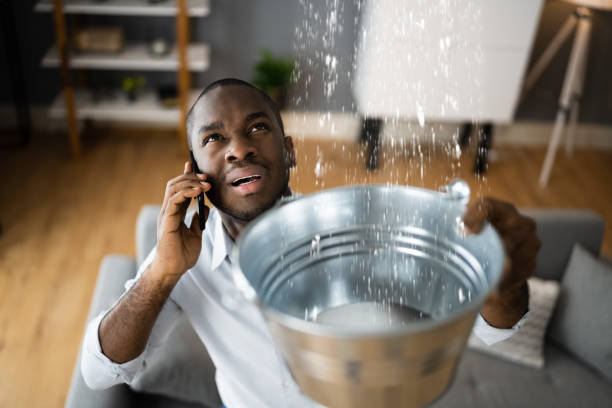 Best Local water damage restoration  in Kenneth City, FL
