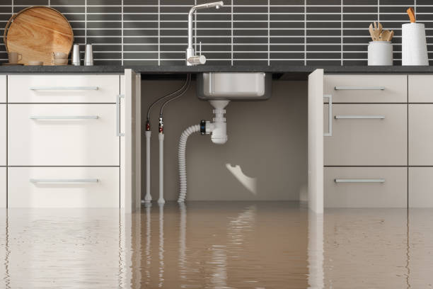 Best Sewage cleanup and water damage restoration  in Kenneth City, FL