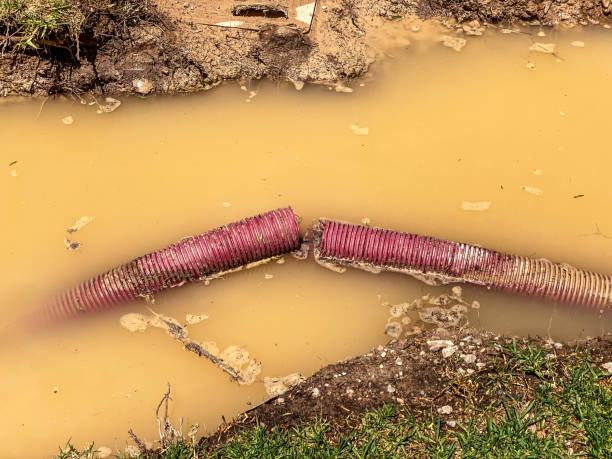 Best 24/7 water damage repair  in Kenneth City, FL