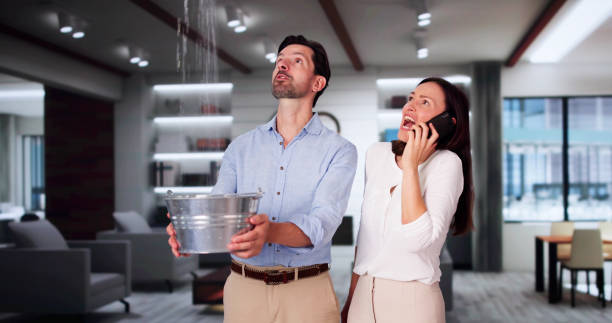 Best Flooded house restoration  in Kenneth City, FL